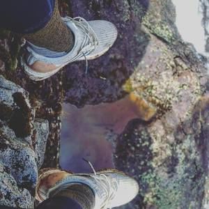 Meet your Posher, Liam